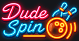 DudeSpin-logo